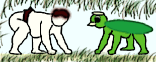 ガラッパと相撲