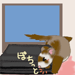 ܂āI